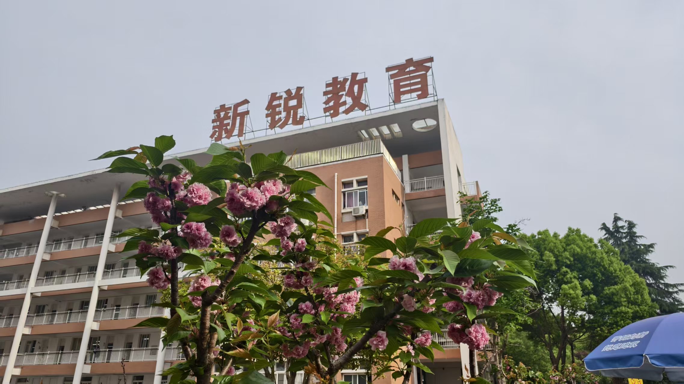 新锐高中：从颜值到内涵，处处心动